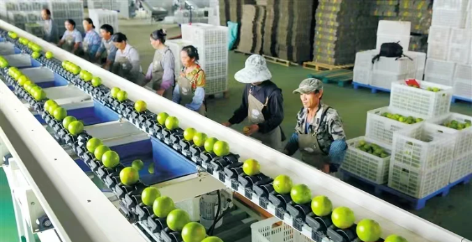 數字鄉村優秀案例推廣①:澄邁縣&ldquo;特色品牌戰略助推高效農業發展&rdquo;入選國家數字鄉村試點優秀案例