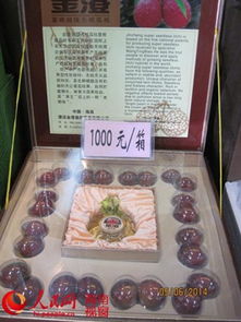 澄邁無核荔枝上市 地頭收購價高達每公斤1000元