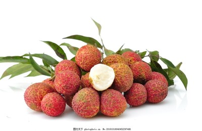 無(wú)核荔枝 水果界的革命性品種